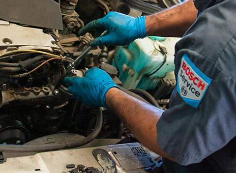 Duluth European Auto Services | Alex Automotive